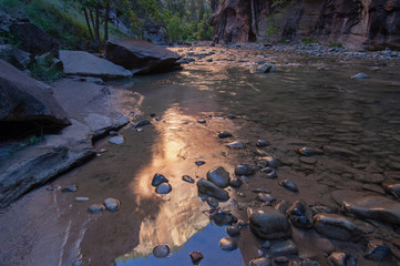 Landscape of quiet pool Virgin River Narrows, Zion National Park, Utah, USA