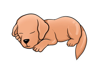 Illustration of Cute puppy cartoon sleeping, Dog illustration