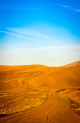 Dirt road in the Palouse