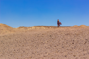 lonely single female person portrait fluttering dress and hair in windy weather time in Negev Israeli desert wasteland dry landscape environment rocky stone ground and vivid blue sky background