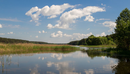 Obraz premium Summer lake landscape, nature background.