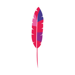 exotic feather bird isolated icon vector illustration design