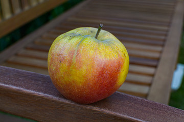 Nat&uuml;rlicher Apfel