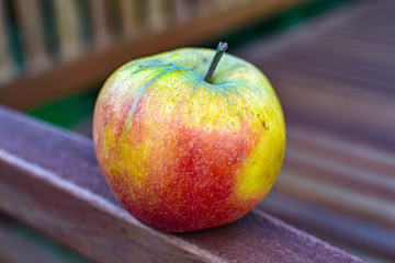 Nat&uuml;rlicher Apfel