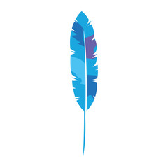 exotic feather bird isolated icon vector illustration design