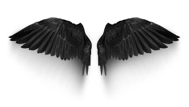 Black pairs of angle wings or parrot wings isolate with clipping path on white background