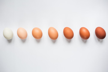 Diversity of chicken eggs on a white background. Colorful chicken eggs.