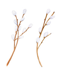 Watercolor pussy willow branches set. Hand drawn tree twigs with buds isolated on white background. Illustration for card, postcard, cover design, invitation, Easter decoration. - obrazy, fototapety, plakaty