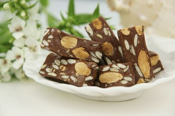 Food portrait of nougat