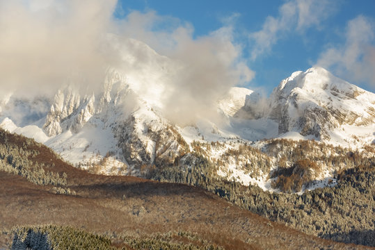 Heavy snowfall in the forest of Alpago near Cansiglio Forest ant in the background the Monte Cavallo mountain range, Belluno, Prealps, Veneto, Italy, Europe