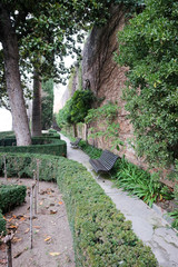 path in the garden of the ramparts in the winter morning fog, Alhambra, Granada, Spain