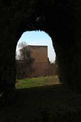 green arch in the park of Alhambra, Granada, Spain
