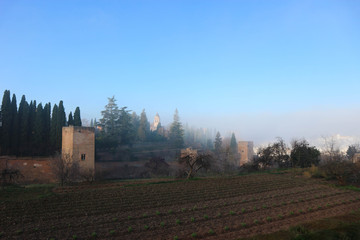 Foggy winter morning in Alhambra, Granada, Spain