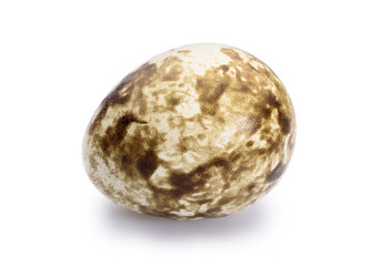 quail eggs isolate on white