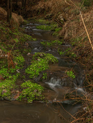 Zvikovsky creek with green grass and stones near Velesin town in south Bohemia