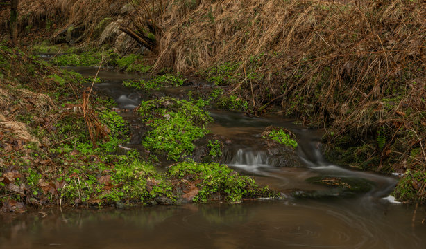 Zvikovsky creek with green grass and stones near Velesin town in south Bohemia