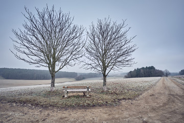 Two bare trees and an empty bench in a moody and cold countryside landscape with high fog and grey sky. Seen in Franconia / Bavaria, Germany in January