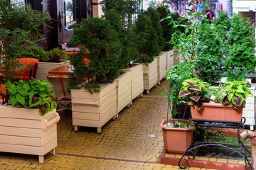 an outdoor cafe in eco style with many flowerpots with flowers and bushes and a sidewalk made of stone tiles.