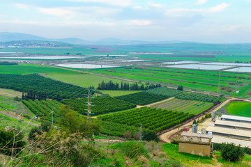 Fototapeta na wymiar Landscape and countryside in the eastern Jezreel Valley