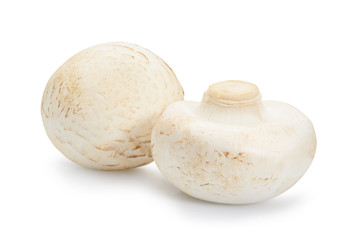 Two champignon mushroom