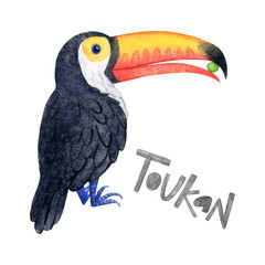 Cute watercolor cartoon toucan.