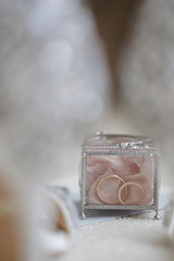 Accessories for the bride and groom for the wedding. A silver box with crystal walls inside a pink rose bud on which gold rings lie.