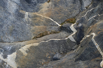 moss grows in rocky cracks and layers of mountain formation are visible