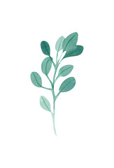 watercolor twig with foliage