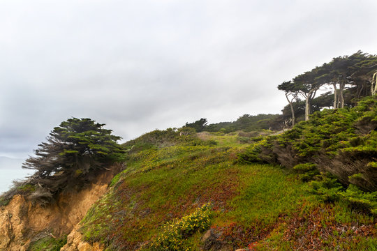 Sutro Heights Park in San Francisco, California, on a rainy day
