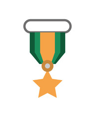 military force medal isolated icon