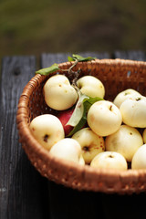 apples in a basket