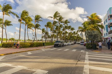 Beautiful landscape view of street of Miami Beach. White buildings and palm trees on both sides of asphalt road on blue sky and white clouds background. USA. Miami South Beach. © Alex
