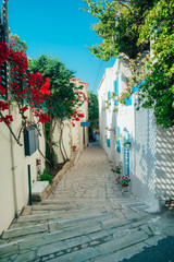 Fototapeta na wymiar Beautiful alley street in greece authentic style with pink flowers and blue shutters at local village of Crete island in Greece. Traditional architecture building exterior. Travel destination.