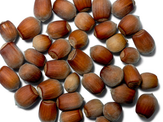 Some hazelnuts isolated on white background. View from above