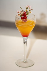 fresh coktail with  red grapes