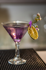 fresh coktail with  dried orange