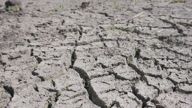 Drought and crisis environment. Global warming. Lifeless, waterless soil due lack of moisture. Lifeless desert land. Dry lake bed with cracked ground