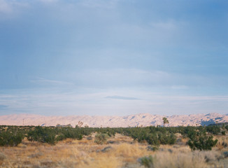 Joshua Tree National Park at Sunset