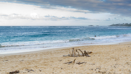 Fototapeta na wymiar Sea driftwood on the beach placed as bones of a beach whale