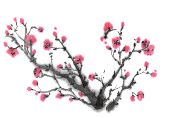 Blooming branch of may plum tree, sakura. Ink graphic image. Oriental, chinese, japanese, korean style. Set of flowers in ink.
