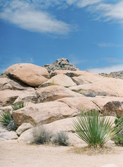 Joshua Tree National Park Desert Landscape
