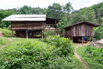 Forêt tropicale et Chemin de terre dans un village de la jungle de Chiang Mai, Lahu, Thaïlande