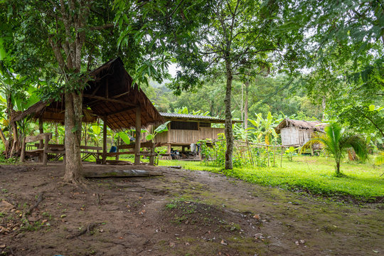 For&ecirc;t tropicale et Chemin de terre dans un village de la jungle de Chiang Mai, Lahu, Tha&iuml;lande