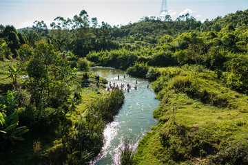 Fototapeta premium Jungle of Madagascar / Africa National Parks close to Andasibe
