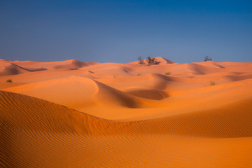 Fototapeta na wymiar waves in the desert