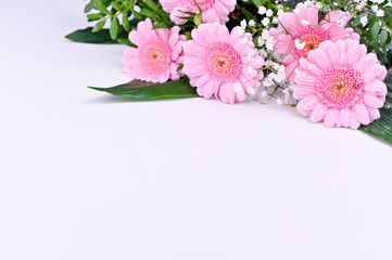 Bouquet of pink gerberas on a white background. Celebration of Women's Day and Mother's Day. Free space for text.