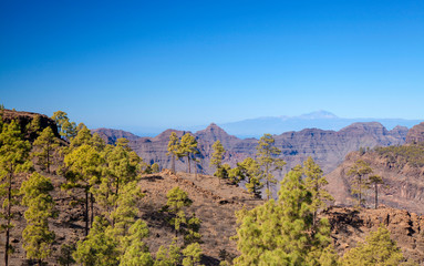 Gran Canaria, January