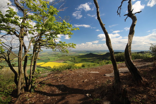 View