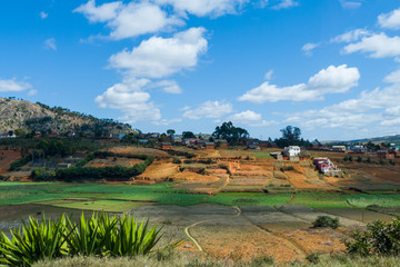 Fototapeta na wymiar Rice paddies in the central highlands of Madagascar - Landscape of Madagascar