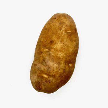 Russet Idaho Potato GPOD